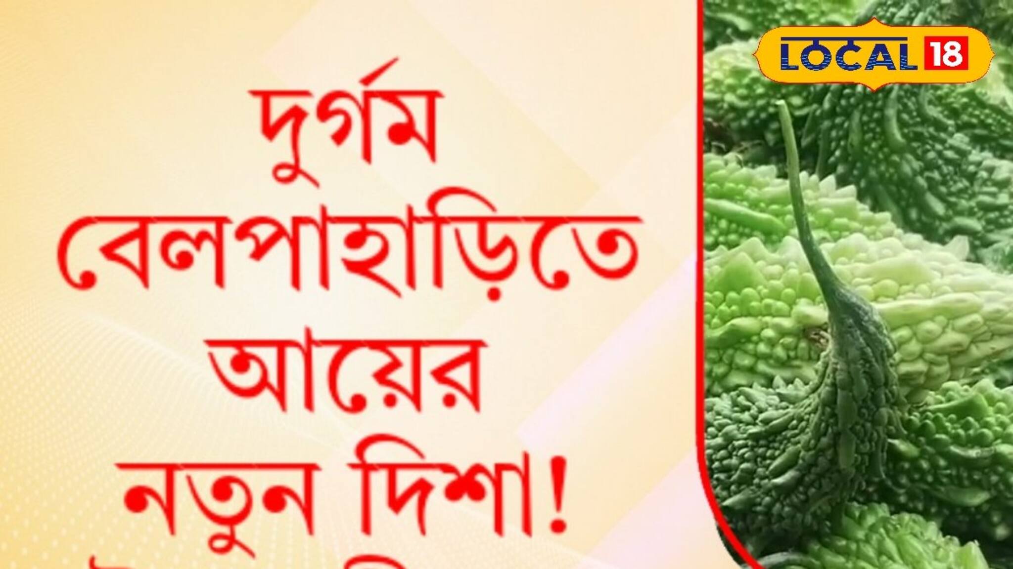 Money Making Tips : দুর্গম বেলপাহাড়িতে এই সবজি চাষ করে বিপুল টাকা আয় করছেন কৃষকরা !
