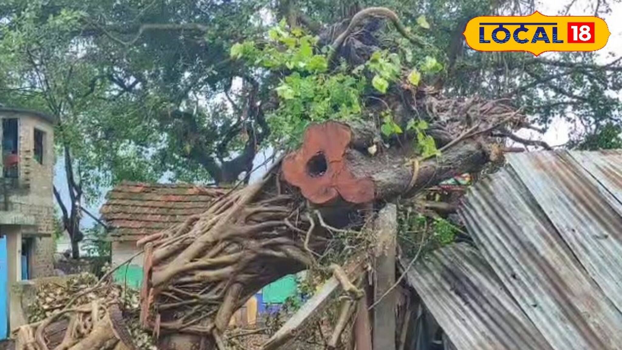 মাত্র কয়েক সেকেন্ডের টর্নেডোয় বিরাট ক্ষতি! টানা ৫ দিন বন্ধ চুঁচুড়ার শ্মশানঘাট, যা হচ্ছে..