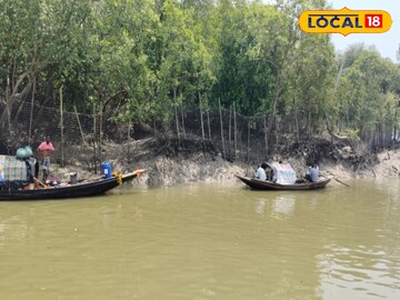 West Bengal news: গ্রামে বাঘ ঢোকা রুখতে নতুন জাল টাঙানোর প্রস্তুতি সুন্দরবন ব্যাঘ্র প্রকল্পের