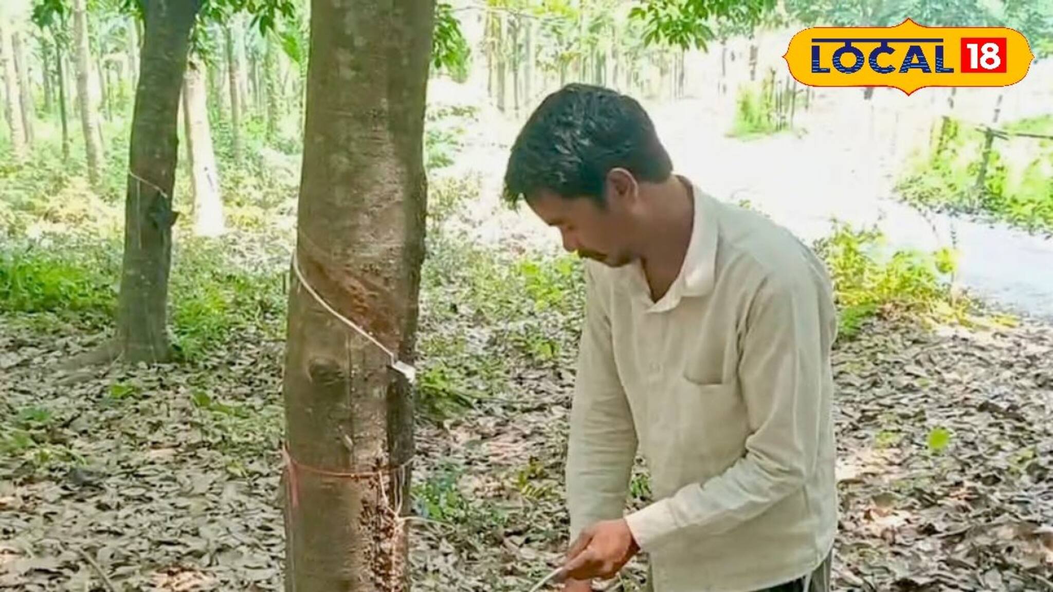 আগে ছিলেন পরিযায়ী শ্রমিক,এখন তিনিই উদ্যোগপতি! রাবার চাষে সাফল‍্য রণজিৎ-এর