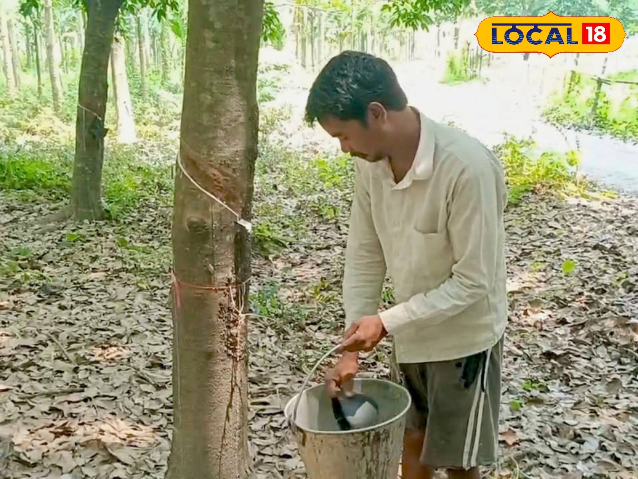 আগে ছিলেন পরিযায়ী শ্রমিক,এখন তিনিই উদ্যোগপতি! রাবার চাষে সাফল‍্য রণজিৎ-এর