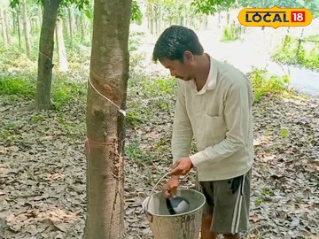 রাবার রাবার