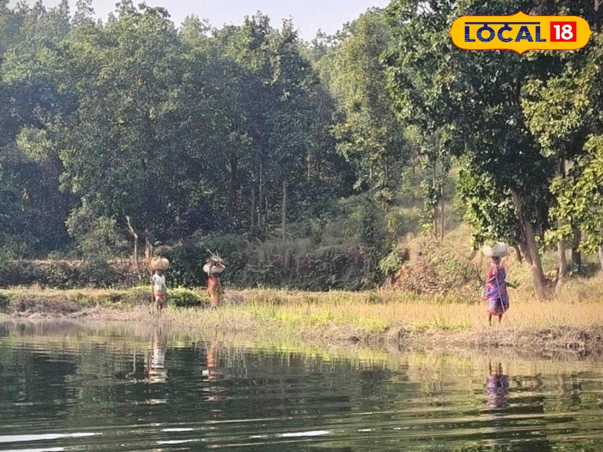 ঘন সবুজে ঘেরা জঙ্গল, বর্ষায় অ‍্যাডভেঞ্চারে যেতে চান? কলকাতার কাছেই আছে সেরা জায়গা