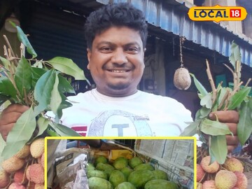 Jamai Sasthi Market: জামাইষষ্ঠীর আগে বড়খবর! জেলার এই বাজারে প্রায় অর্ধেক দামে মিলছে আম ও লিচু