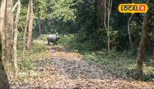 মারণ ব্যাকটেরিয়ার আতঙ্ক! গরুমারা, চাপরামারিতে বাড়তি নজরদারি