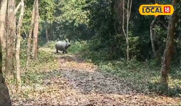 অ্যানথ্রাক্সের