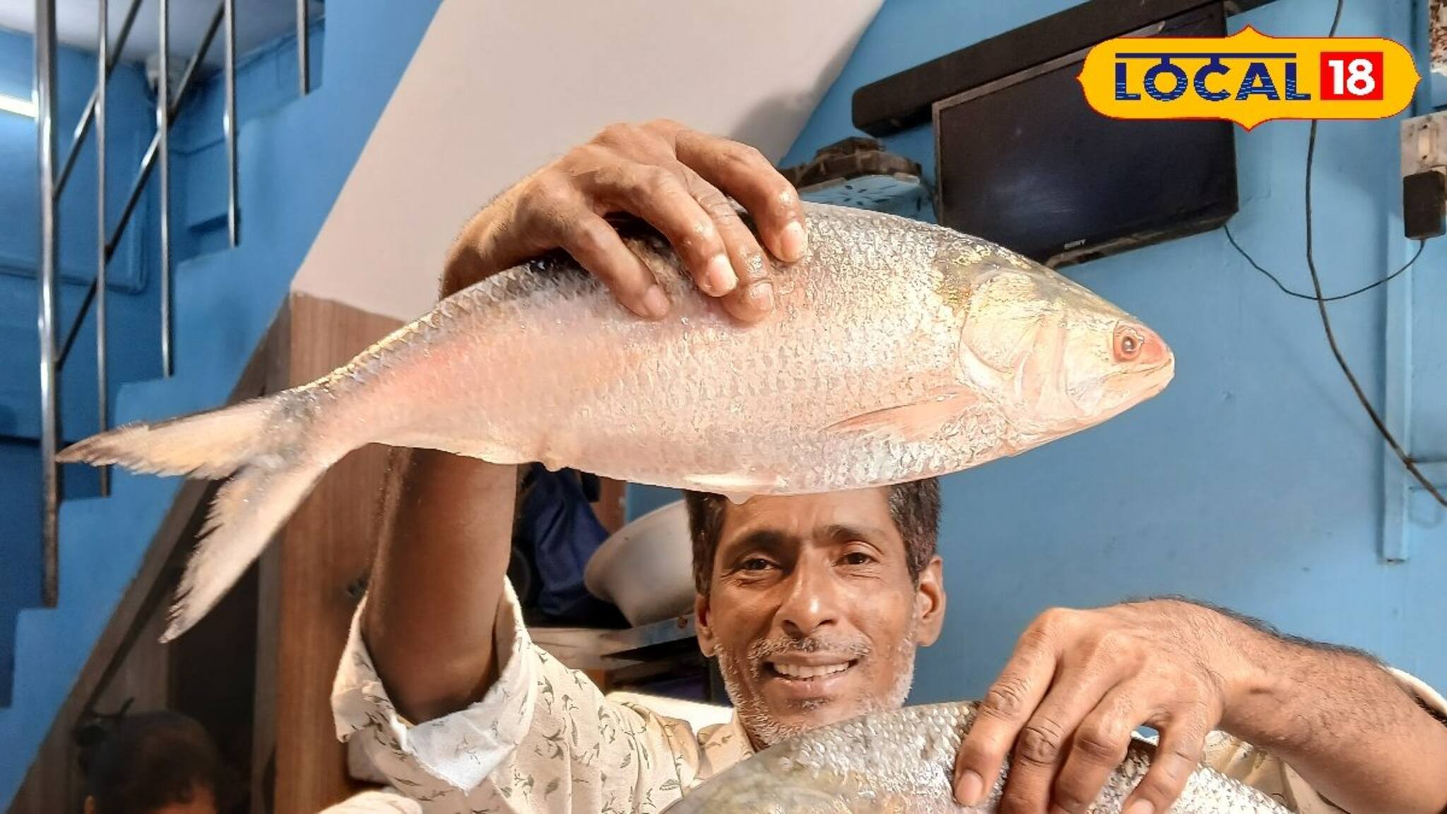 বাংলাদেশর ইলিশ নয়..., জামাইষষ্ঠীতে ভরসা 'মায়ানমারের' ইলিশ! ১ কেজির দাম কত?