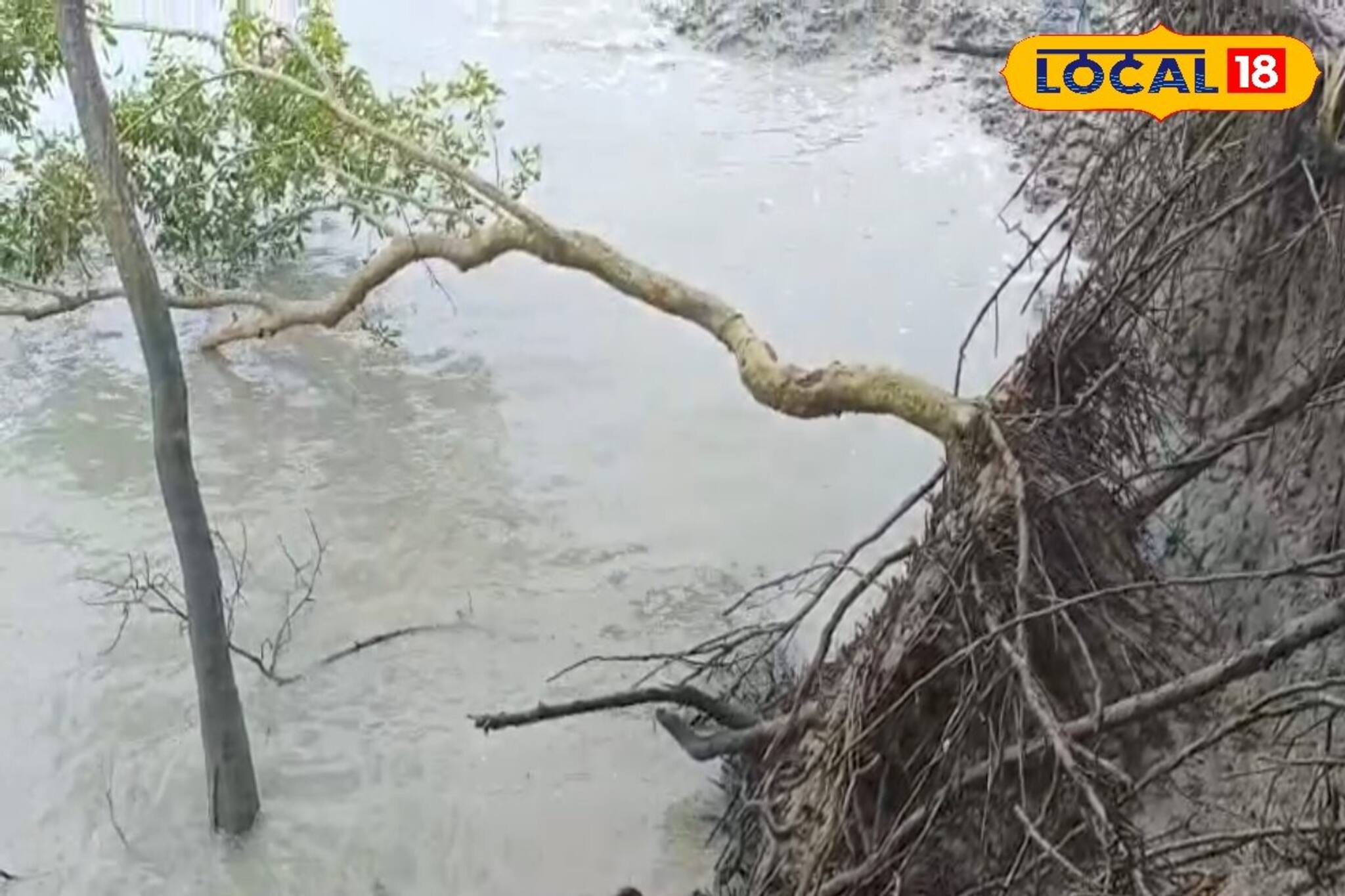  আবহাওয়ার উন্নতি হলেও কাটছে না আতঙ্ক! জলোচ্ছ্বাসের সম্ভাবনা