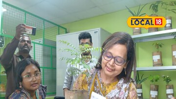 বোটানিক্যাল