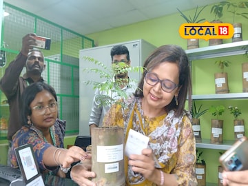 বোটানিক্যাল