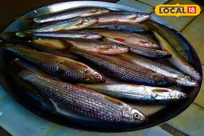 রাইখোর মাছে ক্যালোরির পরিমাণ থাকে খুবই কম। যারা অতিরিক্ত ওজন নিয়ে চিন্তিত, তাঁরা ডায়েটে এই মাছ খেতে পারেন। স্ট্রোক প্রতিরোধেও রাইখোর মাছের উল্লেখ রয়েছে।
