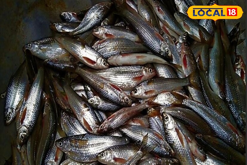 চিকিৎসক দীপঙ্কর ঘোষ জানান, 