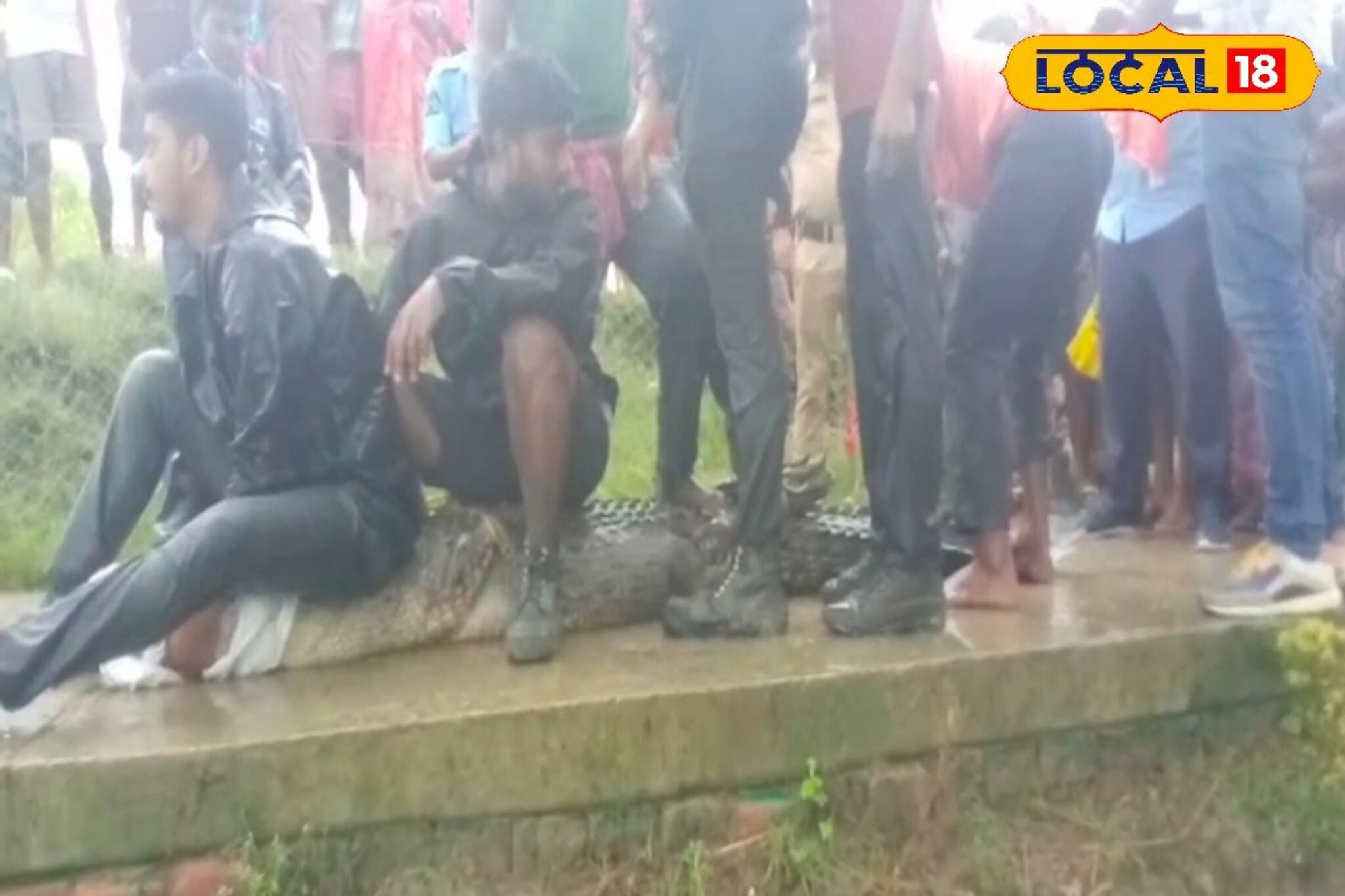 গোসাবার খালে বিশালাকার কুমির! কীভাবে ধরা পড়ল বনদফতরের হাতে, দেখুন ভিডিও