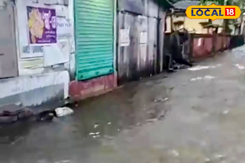 হ্যামিলটনগঞ্জের সুভাষপল্লী, লতাবাড়ি গ্রাম পঞ্চায়েত সংলগ্ন একাধিক এলাকা জলমগ্ন। হ্যামিলটনগঞ্জ পাঁচমোড় এলাকার প্রধান সড়ক নদীতে পরিণত হয়েছে। এলাকার বাসিন্দাদের কথা অনুসারে প্রতিবছর বর্ষাকালে এই ছবি দেখতে পাওয়া যায়।