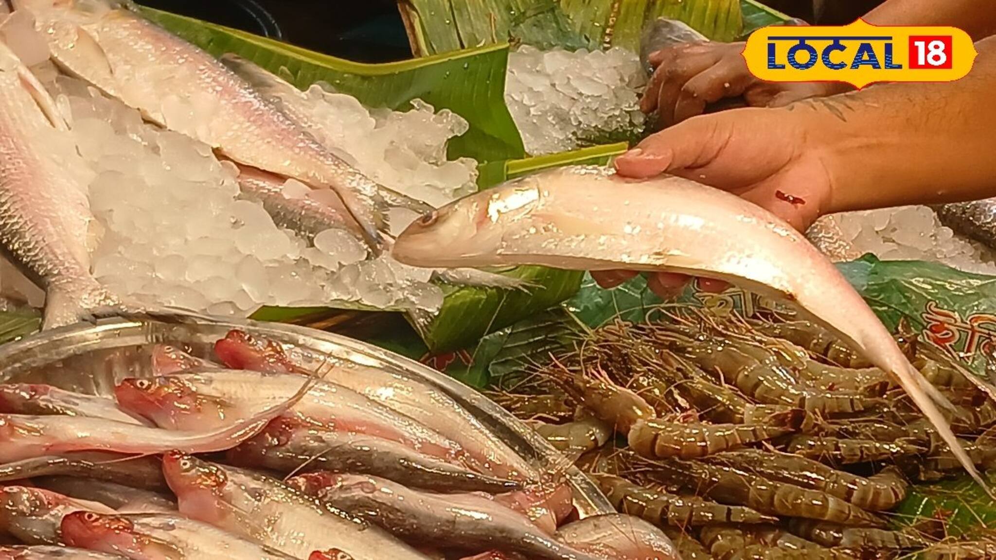 Jamai Sasthi Fish Market: ইলিশ, চিংড়ি, পমফ্রেট, ভেটকি, তোপসে! জামাইয়ের পছন্দের কোন মাছের দাম কত? বাজার যাওয়ার আগে জেনে নিন