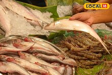 ইলিশ, চিংড়ি, পমফ্রেট, ভেটকি, তোপসে! জামাইয়ের পছন্দের কোন মাছের দাম কত? এক ক্লিকে জেনে নিন