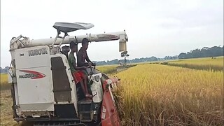 ধান কাটার মেশিন (File) ধান কাটার মেশিন (File)