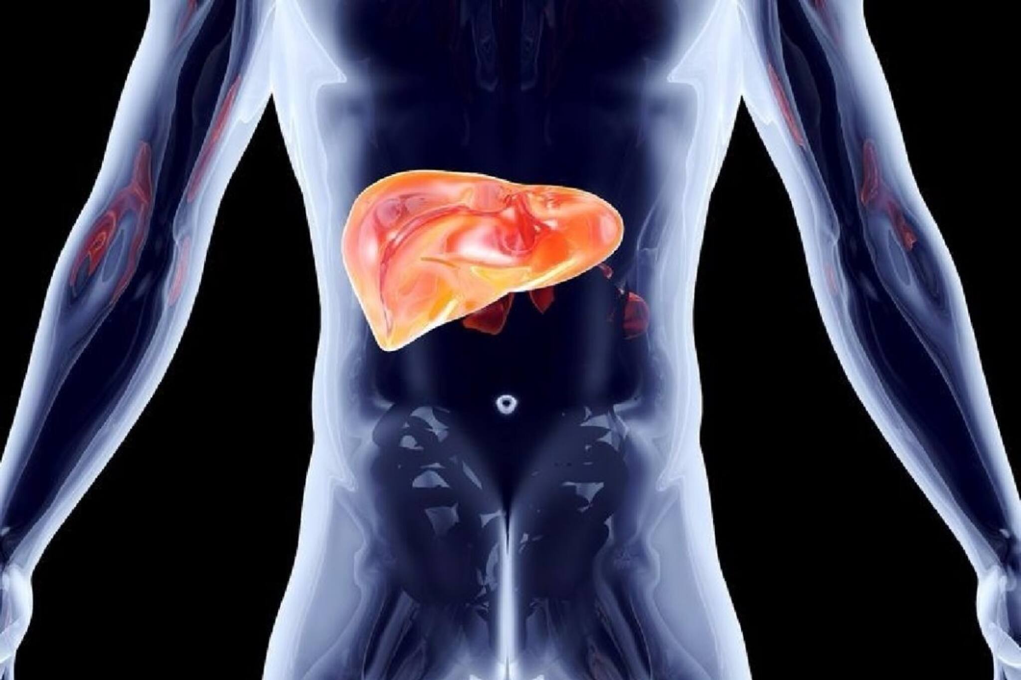 আপনার খাবারের থালায় লুকিয়ে আছে লিভারের এই 'খুনি'! ডায়েট থেকে এখনই ছেঁটে ফেলুন, না হলে...