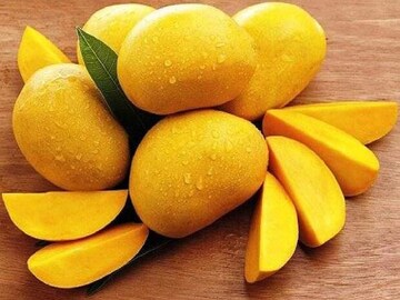 ল্যাংড়া-ফজলি-হিমসাগর-চৌষা! আমের অদ্ভুত সব নাম, কেন এরকম নামকরণ জানেন?