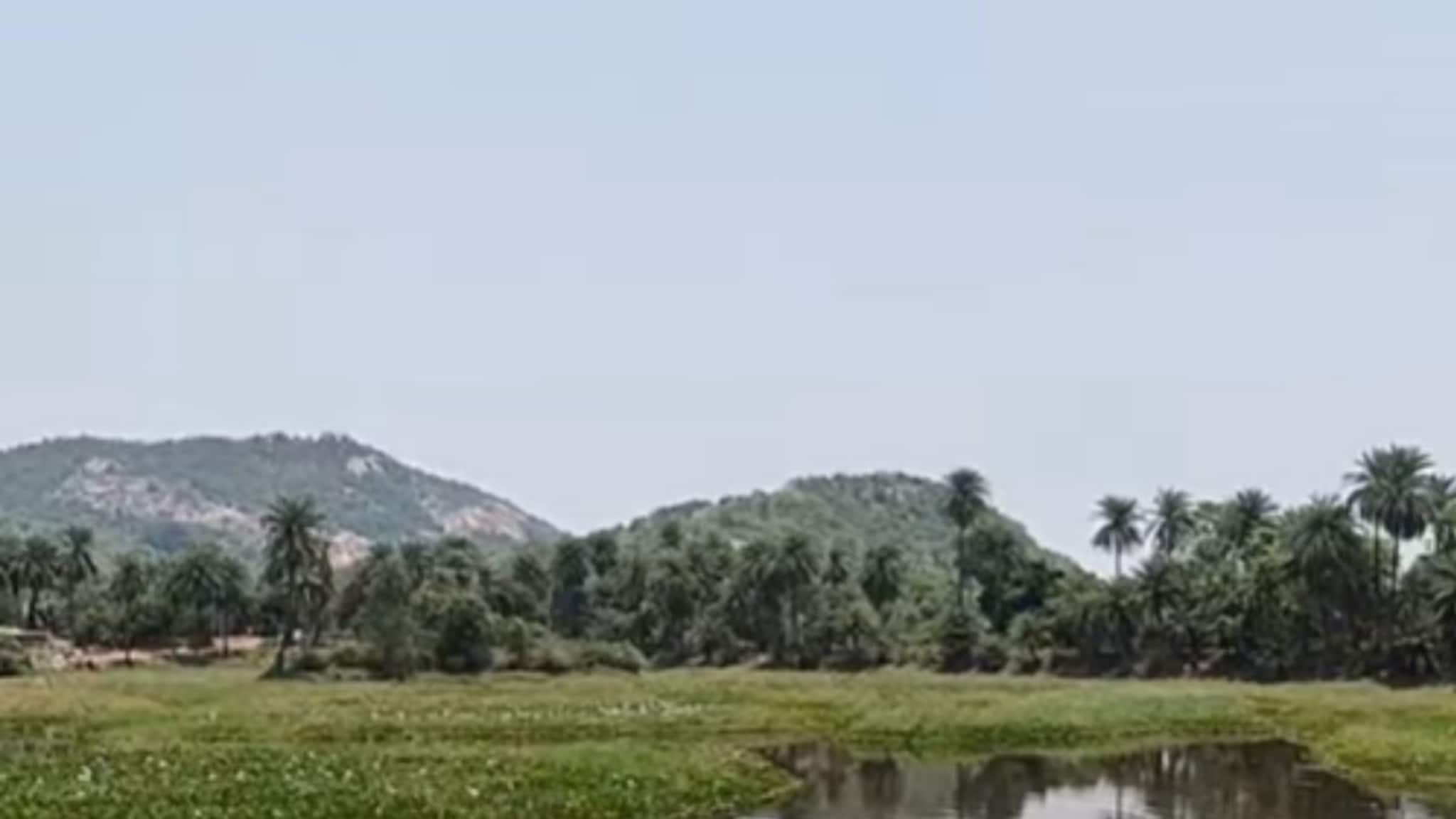 Mini Pahalgam: বাংলার বুকে এক টুকরো 'মিনি পহেলগাঁও', কোথায় গেলে দেখতে পাবেন?  রইল ভিডিও