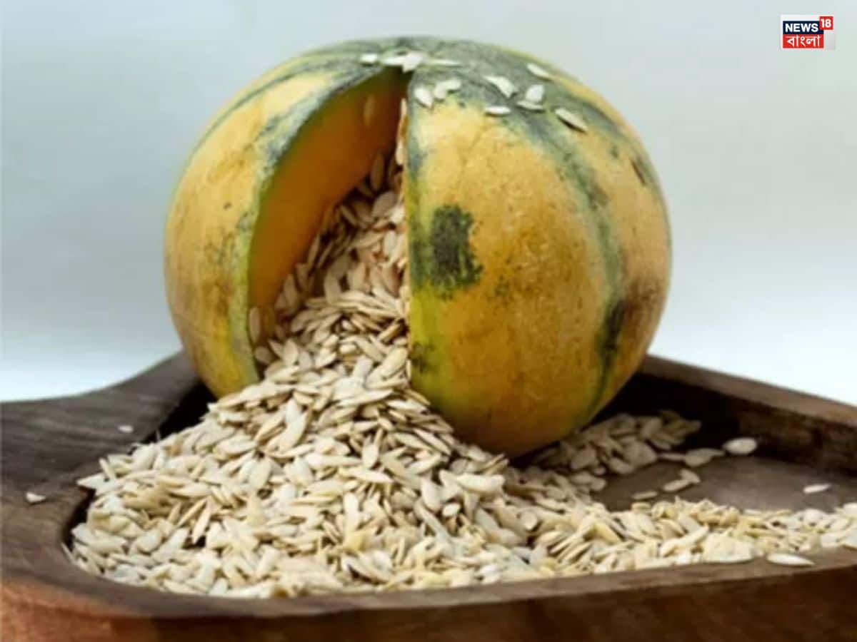  খরমুজ ফলের মধ্যে প্রোটিন, ফাইবার এবং অনেক ধরণের ভিটামিন পাওয়া যায়, যা শরীরকে সুস্থ রাখার জন্য প্রয়োজনীয়। খরমুজ খাওয়ার পর, যদি তুমি এর বীজগুলো অকেজো ভেবে আবর্জনায় ফেলে দাও, তাহলে এমন ভুল করবেন না।