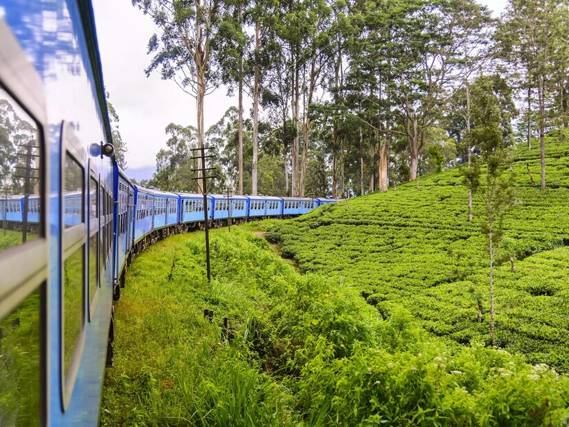 জলপাইগুড়ি: বাড়ল কোচ সংখ্যা, খুশির হাওয়া উত্তরবঙ্গ জুড়ে। উত্তরবঙ্গের সঙ্গে দক্ষিণবঙ্গের যোগাযোগ ব্যবস্থা  আরও সুগম করতে এই উদ্যোগ রেল তরফে। উত্তরবঙ্গবাসীর জন্য এ এক দারুণ সুখবর! হলদিবাড়ি-কোলকাতা সুপারফাস্টে ১২৩৬৩/১২৩৬৪) কোচ বাড়ানো হল। ৬ মে কলকাতা থেকে এবং ৭ মে হলদিবাড়ি থেকে যাত্রার সময় এই বর্ধিত কোচ যুক্ত হবে বলে জানিয়েছে উত্তর-পূর্ব সীমান্ত রেল। জলপাইগুড়ি: বাড়ল কোচ সংখ্যা, খুশির হাওয়া উত্তরবঙ্গ জুড়ে। উত্তরবঙ্গের সঙ্গে দক্ষিণবঙ্গের যোগাযোগ ব্যবস্থা  আরও সুগম করতে এই উদ্যোগ রেল তরফে। উত্তরবঙ্গবাসীর জন্য এ এক দারুণ সুখবর! হলদিবাড়ি-কোলকাতা সুপারফাস্টে ১২৩৬৩/১২৩৬৪) কোচ বাড়ানো হল। ৬ মে কলকাতা থেকে এবং ৭ মে হলদিবাড়ি থেকে যাত্রার সময় এই বর্ধিত কোচ যুক্ত হবে বলে জানিয়েছে উত্তর-পূর্ব সীমান্ত রেল।