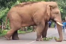 রবিবার রাস্তা অবরোধ রামলালের! রইল সেই ভিডিও
