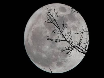 ভৌমবতী অমাবস্যায় নতুন গাড়ি! বিবাহিত জীবনে সুখবর! নতুন চাকরি! সৌভাগ্যের জ্যাকপট ৩ রাশির ভৌমবতী অমাবস্যায় নতুন গাড়ি! বিবাহিত জীবনে সুখবর! নতুন চাকরি! সৌভাগ্যের জ্যাকপট ৩ রাশির