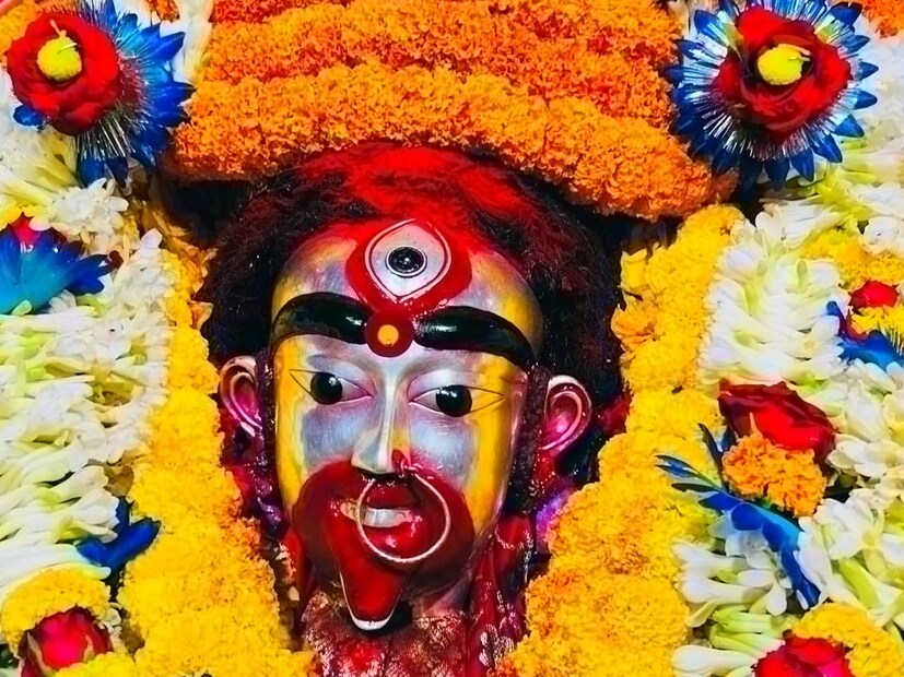 সোমবার পালিত হচ্ছে ফলহারিণী কালীপুজো৷ জ্যৈষ্ঠের এই অমাবস্যা তিথি অত্যন্ত মাহাত্ম্যপূর্ণ এবং গুরুত্বপূর্ণ৷ প্রচলিত বিশ্বাস, এই তিথি ভক্তি ও নিষ্ঠা ভরে পালন করলে জীবন থেকে দূর হয় অশুভ কর্মফল৷ লাভ করা যায় মোক্ষফল৷