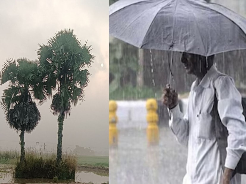Weather Update: রেকর্ড গরম! কলকাতা-সহ ৪ জেলায় হিটওয়েভ, এ মাসেই দেশে ঢুকবে বর্ষা? কবে থেকে ঝড়বৃষ্টি শুরু বঙ্গে? দিনক্ষণ জানিয়ে দিল হাওয়া অফিস Weather Update: রেকর্ড গরম! কলকাতা-সহ ৪ জেলায় হিটওয়েভ, এ মাসেই দেশে ঢুকবে বর্ষা? কবে থেকে ঝড়বৃষ্টি শুরু বঙ্গে? দিনক্ষণ জানিয়ে দিল হাওয়া অফিস