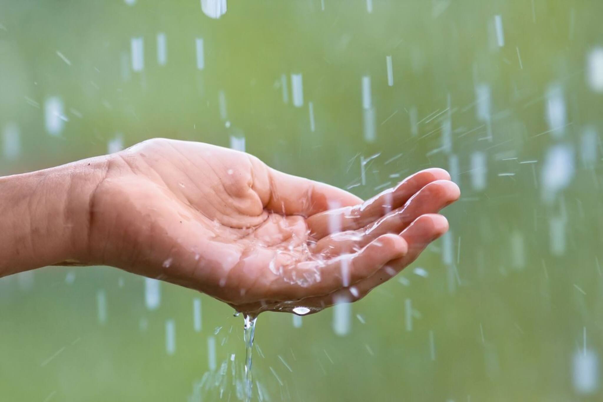 ৫ দিন আগেই দেশে ঢুকল 'বর্ষা'! এখনও গলদঘর্ম বাংলা...কেন জানেন? কবে নামবে বৃষ্টি?