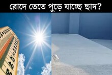 গনগনে রোদের তাপে পুড়ছে ছাদ! নীচের তলায় টেকাই দায়...২ উপায়ে সারাদিন ঠান্ডা থাকবে