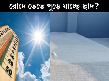 গনগনে রোদের তাপে পুড়ছে ছাদ! নীচের তলায় টেকাই দায়...২ উপায়ে সারাদিন ঠান্ডা থাকবে