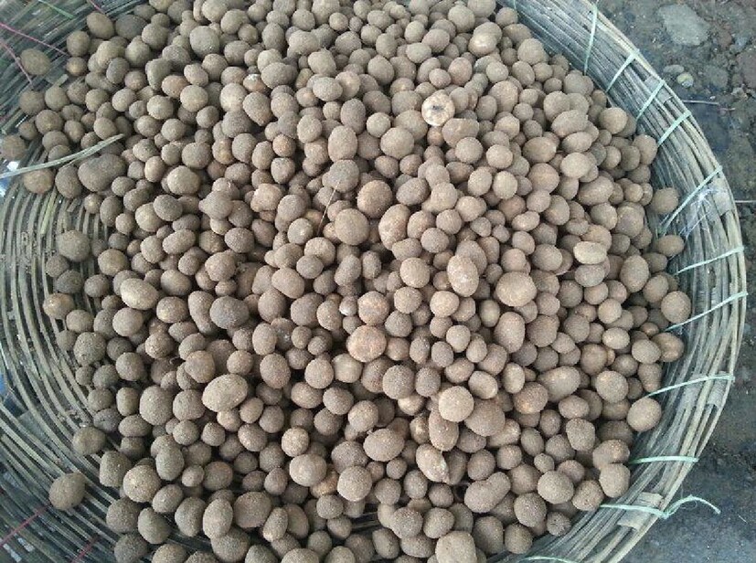 *রুগদা রেসিপিঃ প্রথমে রুগদা পরিষ্কার করে দুই টুকরো করে কেটে নিন। একটি প্যানে ১/৪ কাপ তেল দিন এবং রুগদার টুকরোগুলি সিদ্ধ করুন। যখন তারা হালকা বাদামী রঙের হয়, তখন তাদের সরিয়ে আলাদা করে রাখুন। 