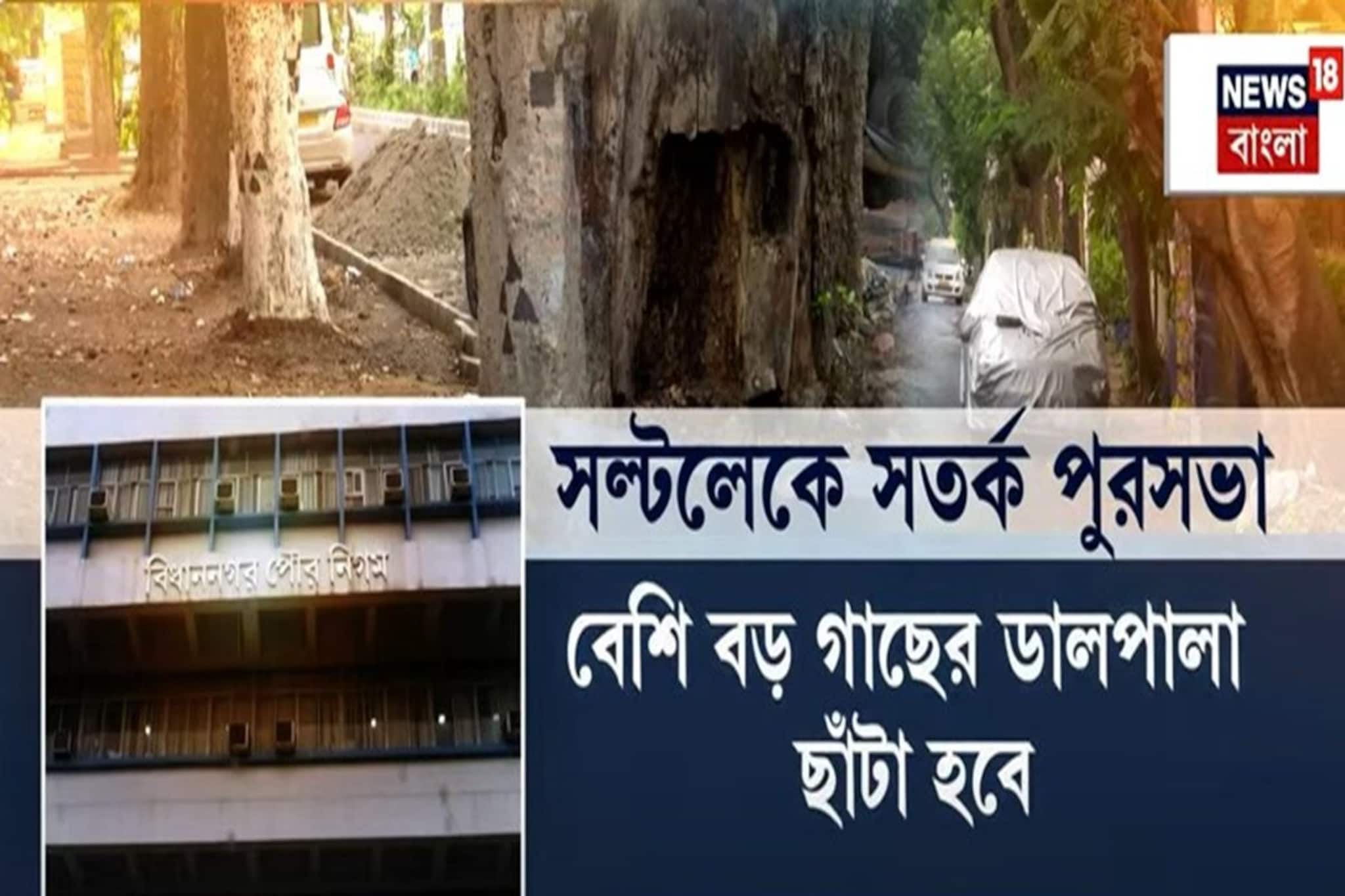 সল্টলেকে বিপজ্জনক গাছ, ঝোড়ো হাওয়ায় গাছ পড়ে যাওয়া রুখতে তৎপর বিধাননগর পুরসভা