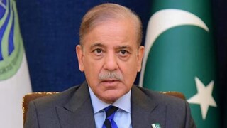 গত ৪ বছরে পাকিস্তানে ২০ জন চিনা নাগরিক নিহত! এবার নিরাপত্তার আশ্বাস দিলেন পাক প্রধানমন্ত্রী শাহবাজ শরিফ