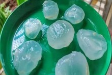 বছরে ১৫ দিন পাওয়া যায় এই ফল, পেট ঠান্ডা রাখে, ত্বক করে মাখনের মতো, হিট স্ট্রোক গায়েব