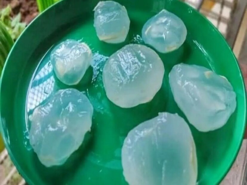 হিন্দিতে বলা হয় তাল খোয়া। বাংলায় তালের শাঁস। এই তালের শাঁস বা তাল শাঁস হল একটি মরশুমি ফল, যা বছরে মাত্র ১০ থেকে ১৫ দিনের জন্য বাজারে দেখা যায়। এই ফলটি জামশেদপুর এবং ঝাড়খণ্ডের আশেপাশের এলাকার রাস্তার ধারে বিক্রি হয়, বিশেষ করে গ্রীষ্মকালে। মানুষ সারা বছর ধরে এই ফলের জন্য অধীর আগ্রহে অপেক্ষা করে। কারণ এর স্বাদ কেবল অসাধারণই নয়, এর স্বাস্থ্য উপকারিতাও অমূল্য। তার মানে এই ফল দ্বিগুণ উপকার দেয়।Image: News18