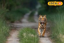 সমুদ্র, বাঘ, জঙ্গল...সমুদ্রের পাড়ে এই জঙ্গল ঘিরে বাড়ছে উত্‍সাহ! ঘুরতে যেতে চান?