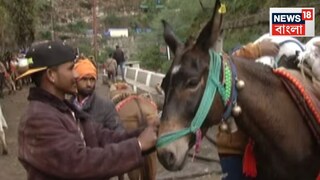 কেদারনাথে ভয়ঙ্কর ভাইরাসের হানা! একসঙ্গে ১৪টি ঘোড়ার মৃত্যু, দিল্লি থেকে আসছে বিশেষ দল...