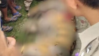 চরম মর্মান্তিক ঘটনা, পিটিয়ে মারা হল বাঘ! কেটে নেওয়া হল তার চামড়া, কান, দাঁত, মাংস, কোথায় জানুন...(Image: News18)