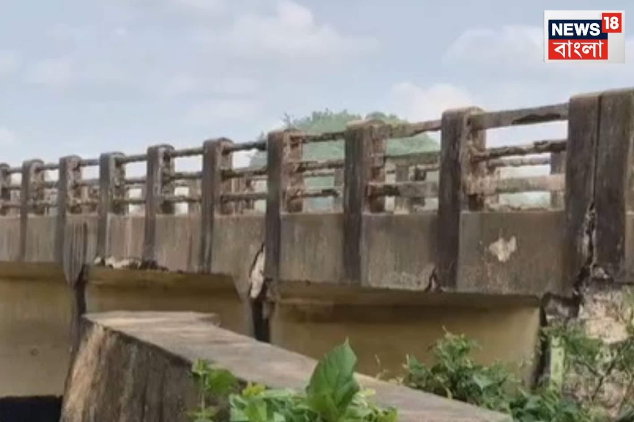 ভেঙে পড়েছে ব্রিজ, প্রাণ হাতে করে প্রতিদিন পারপার করছেন সাধারণ মানুষ, আতঙ্কে দিন কাটছে
