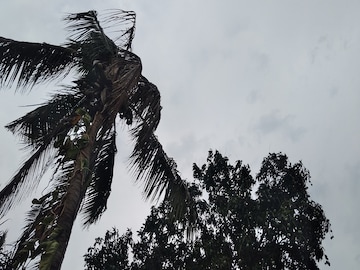 ঝলসানো গরমে প্রাণ ওষ্ঠাগত, ৮ জেলায় কাঁপিয়ে আসছে ঝড়-বৃষ্টি-বাজের সতর্কতা! আবহাওয়ার বড় খবর ঝলসানো গরমে প্রাণ ওষ্ঠাগত, ৮ জেলায় কাঁপিয়ে আসছে ঝড়-বৃষ্টি-বাজের সতর্কতা! আবহাওয়ার বড় খবর