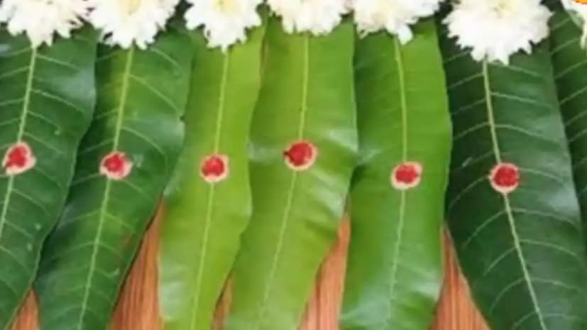 এই দিন বাড়ির সদর দরজায় লাগান তেল, হলুদ ও সিঁদুরের ফোঁটা-সহ আমপাতার তোরণ। নেগেটিভ শক্তি দূরে থাকবে আপনার ঘর সংসার থেকে।