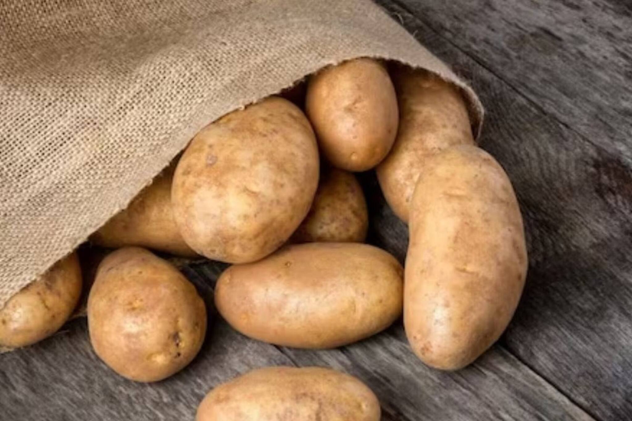 জল-টোটকায় জব্দ আলু! এ বার ডায়াবেটিসেও যত খুশি খান! বাড়বে না ব্লাড সুগার! জমে না চর্বি