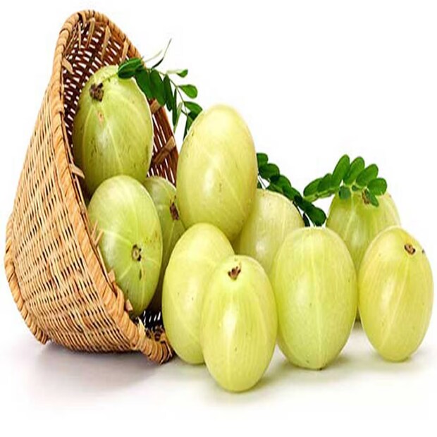 আয়ুর্বেদে আমলকি একটি মূল্যবান উপাদান এবং অ্যান্টিঅক্সিডেন্টের সমৃদ্ধ উৎস। এটি লিভারকে সুস্থ করতে সাহায্য করে, এনজাইমের কার্যকলাপ বাড়ায় এবং শরীর থেকে বিষাক্ত পদার্থ বের করে দিতে সাহায্য করে। কাঁচা, চাটনিতে, অথবা প্রতিদিন এক চামচ চ্যবনপ্রাশ হিসেবে খাওয়া যাই হোক না কেন, আমলকি রোগ প্রতিরোধ ক্ষমতা এবং লিভারের স্বাস্থ্য উভয়কেই শক্তিশালী করে।