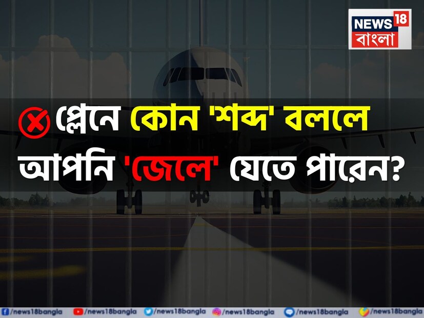 প্রতিদিন হাজার হাজার মানুষ তাদের কাঙ্ক্ষিত গন্তব্যে পৌঁছনোর জন্য বিমানে ভ্রমণ করে থাকেন। প্লেন সফর কেবল সময় সাশ্রয় করে না বরং অনেকের জন্য এটি একটি সম্ভাব্য বিকল্পও।