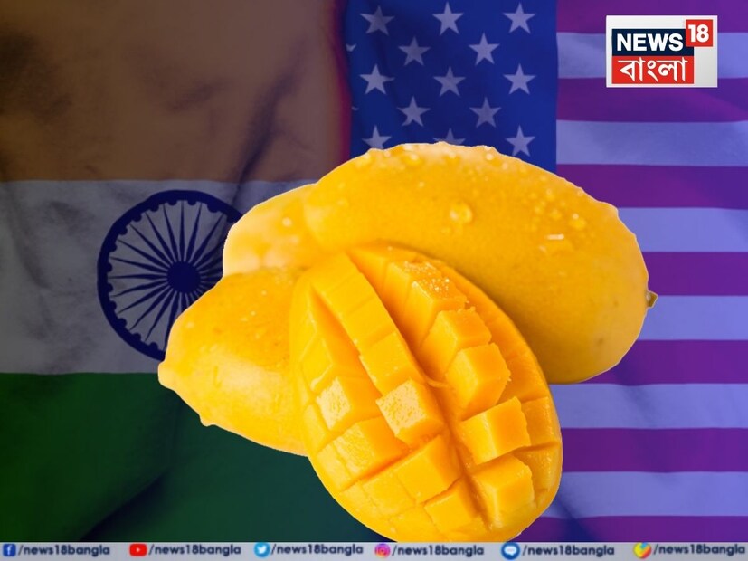 কিন্তু ভারতে ফিরিয়ে আনার বিপুল খরচের জন্য ব্যবসায়ীরা আর আম ফিরিয়ে আনতে রাজি হননি। তাঁরা ওই আমগুলিকে স্থানীয় এলাকাতেই নষ্ট করার সিদ্ধান্ত নেন।