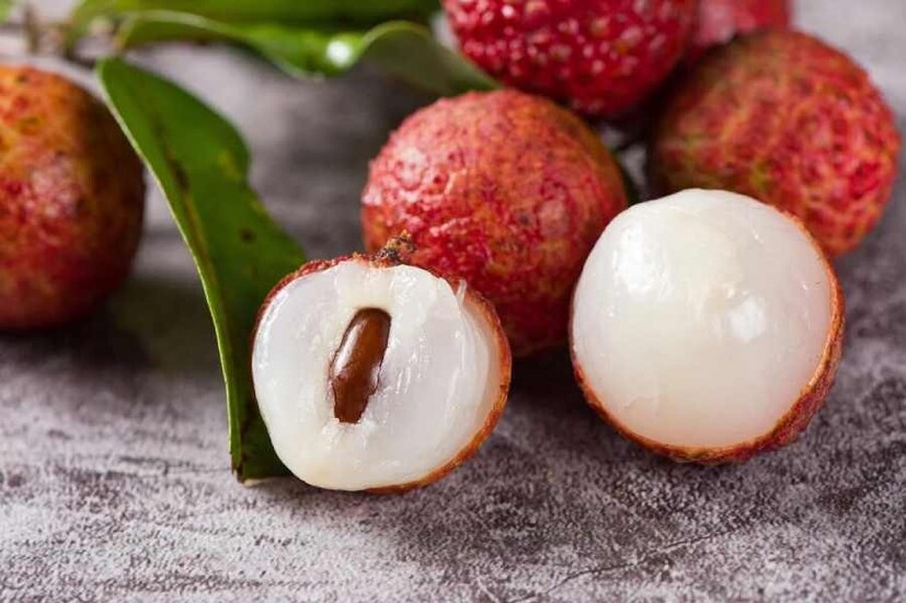 কিন্তু লিচু কি ব্লাড সুগারে খাওয়া যায়? নাকি লিচু মুখে ফেললেই হু হু করে বাড়বে ডায়াবেটিস? এই দ্বন্দ্ব চিরকালের৷ সেই সংশয় দূর করেছেন পুষ্টিবিদ অঞ্জু সুদ৷