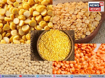 'অড়হর', 'ছোলা', 'মুগ', 'মুসুর' না 'বিউলি'...? ৫ 'ডালের' মধ্যে সবচেয়ে সেরা কোনটি!